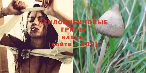 стафф Беломорск